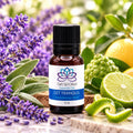 Tranquil Essential Oil Diffuser Blend